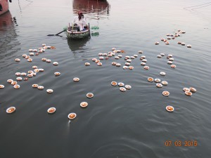 Floating Diyas